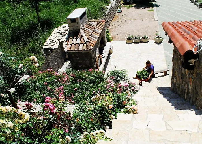 Apartament Frgacic *