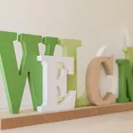 Frgacic 바슈카
